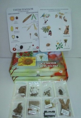 Коллекция "Семена и плоды" с раздаточным материалом