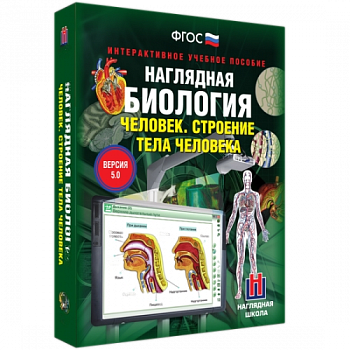 Пособие для интерактивной доски Человек.Строение тела человека