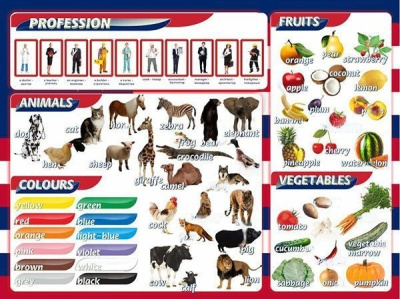 Стенд Цвета, животные, профессии, фрукты, овощи, 1х0,75 м