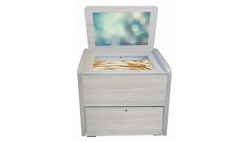 Сундучок логопеда Антошка (песочница, игры, материалы)