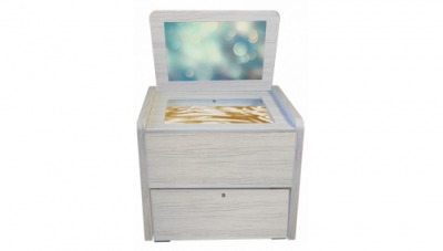 Сундучок логопеда Антошка (песочница, игры, материалы)