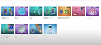 Программное обеспечение Интерактивный курс по разделу биологии «Цитология»
