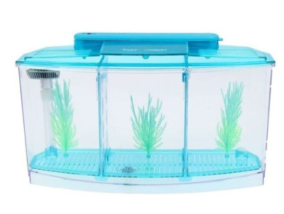 Аквариум-отсадник (на 1,5 литра) с подсветкой и светящимися растениями