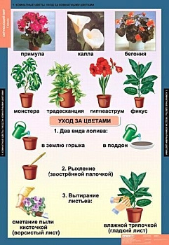 Комплект плакатов Окружающий мир 1 кл.