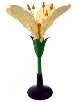 Модель Цветок капусты