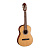 Гитара классическая Parkwood PC90 (размер 4/4)