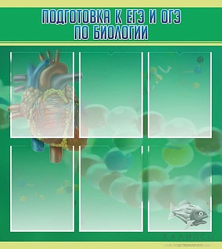 Стенд Подготовка к ЕГЭ и ГИА по биологии, 0,8х0,9 м