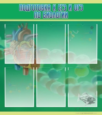 Стенд Подготовка к ЕГЭ и ГИА по биологии, 0,8х0,9 м