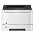 Принтер лазерный KYOCERA ECOSYS P2040dn, А4, 40 страниц/мин., 50000 страниц/месяц, ДУПЛЕКС, сетевая карта, 1102RX3NL0