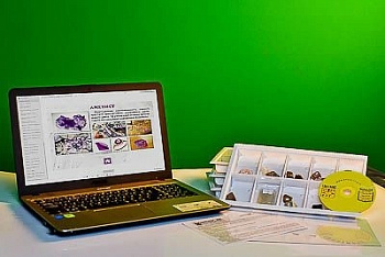 Коллекция натурально-интерактивная Кварц в природе