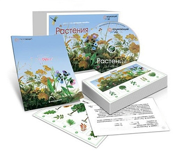 Комбинированное наглядное пособие Растения (1-4 класс)