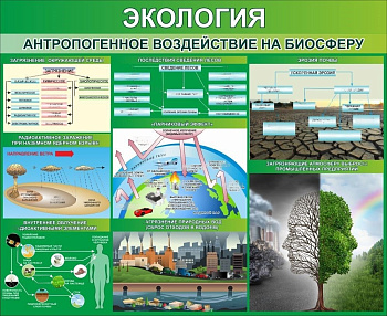 Стенд "Экология. Антропогенное воздействие на биосферу", 1100х900 мм