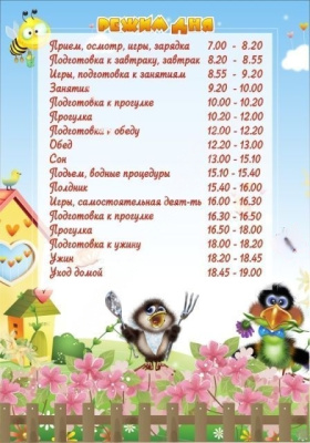 Стенд Режим дня 56х90 см