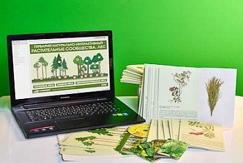 Гербарий натурально-интерактивный Растительные сообщества. Лес