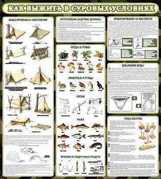 Стенд в школу Как выжить в суровых условиях, 0,9х1 м