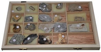 Коллекция "Формы сохранности ископаемых растений и животных"